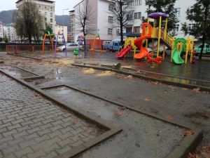 Arhavi’de Koruma Altındaki Çınara Gece Kıyımı