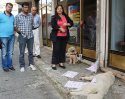 Rize'de Köpeklerin Zehirlenerek Öldürülmesine Vatandaş Tepkisi