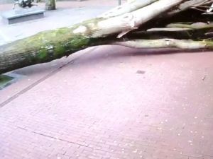 Anne İle Bebeği Ölümden Son Anda Kurtuldu
