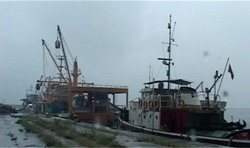 Rize'de Balıkçılar Denizden Eli Boş Döndü