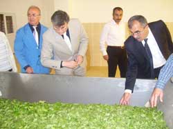 Ekrem Yüce'nin hayali