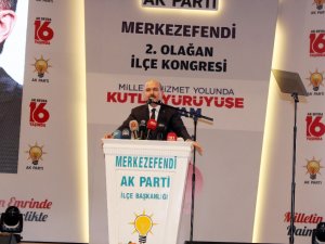 Bakan Soylu’dan “Zeytin Dalı Harekatı” Açıklaması