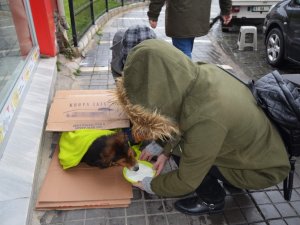 Üşüyen Köpek İçin Seferber Oldular