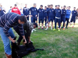 "Kötü Gidişat Sona Ersin Diye’ Kurban Kestiler
