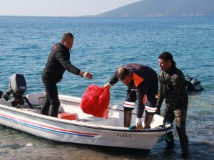 "Denize En Çok Mavi Yakışır"