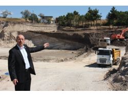 Öztürk'ten Ağaç Katliamına Tepki