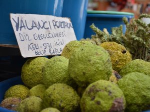 Adı Yalancı Kendi Şifalı