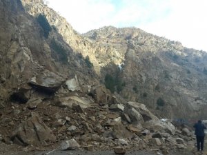 Artvin-Ardahan Karayolu’nda Heyelan