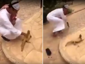 Oyuncak Sandı, Gerçek Çıkınca Hopladı