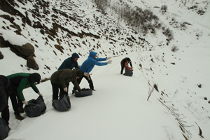 Rize'de Yaban Hayvanlarına Yem Desteği