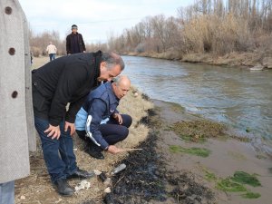 Oltu Çayı’na Atılan Zehirle İlgili Soruşturma Başlatıldı