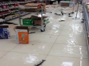 Akvaryumun Camı Kırılınca Balıklar Ortaya Saçıldı