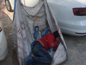 Bu Fotoğrafla Tanınmıştı: Milli Eğitim Sahip Çıktı