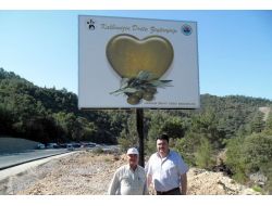 Zeytin Ve Zeytin Yağı Tanıtım Atağı