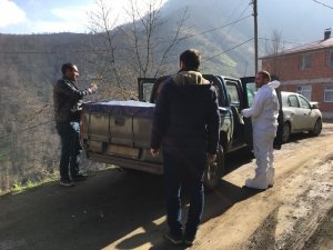 Trabzon’da Şarbon Paniği Sürüyor