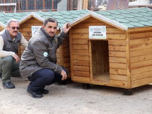 Gümüşhane’de Sokak Hayvanlarına Beş Yıldızlı Kulübe Yapıldı