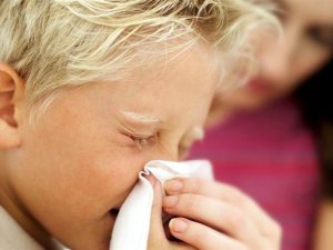 Alerjik Nezle Gribal Enfeksiyonla Karıştırılıyor