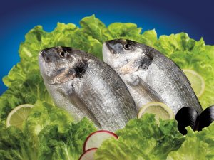 Balık Depresyondan Koruyor