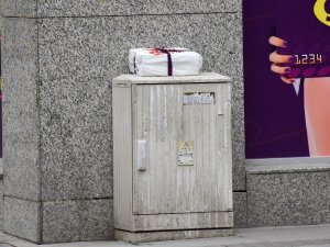 Gümüşhane’de Şüpheli Paketten Yumurta Çıktı
