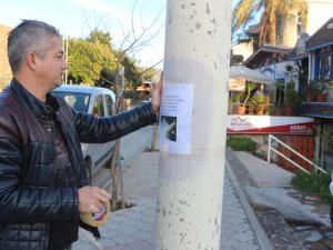 Sokak Sokak Dolaşıp Şeker’i Arıyor