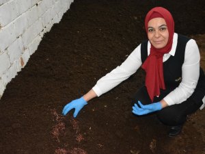 Cezaevinde Kafasına Koydu, Tahliye Olunca Tesisini Kurdu