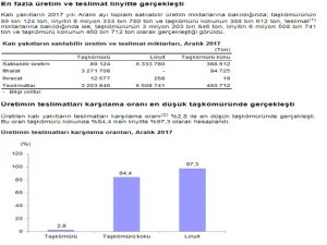’Katı Yakıt’ İstatistikleri Açıklandı