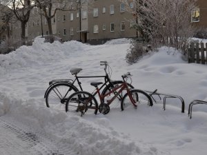 Polonya’da Soğuk Havalar 53 Ölüme Yol Açtı
