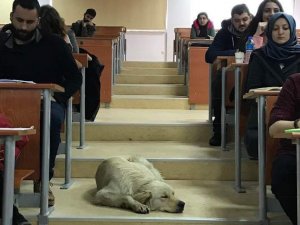 Öğrencilerden Örnek Davranış