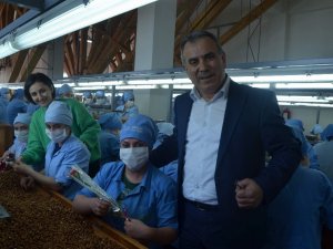 Fındık Fabrikasında Çalışan Kadınlara Kadınlar Günü Süprizi