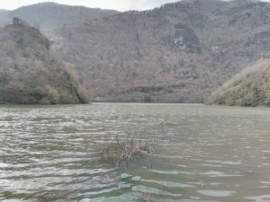 Artvin’de Baraj Gölünde Tekne Battı; 1 Kayıp, 1 Yaralı