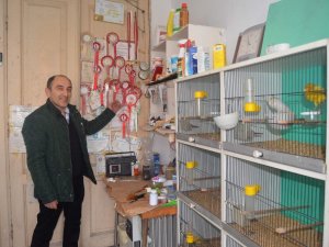 Hobi İçin 3 Katlı Tarihi Evde Muhabbet Kuşu Besliyor
