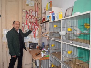 Milyonluk Binayı Kuşlara Tesis Etti