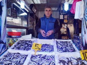 Hamsi Fiyatı Hızla Düşüşe Geçti