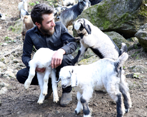 "Keçilere Fısıldayan" Adama Sosyal Medyada İlgi