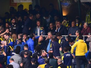 Alex’e Sevgi Seli