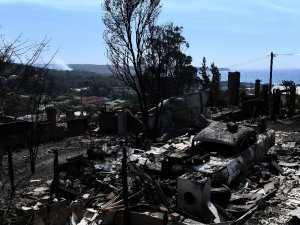Avustralya Orman Yangınlarıyla Boğuşuyor