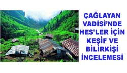 HES için bilirkişi incelemesi