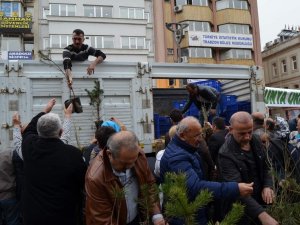 Üç Bin Adet Fidan 30 Dakikada Tükendi