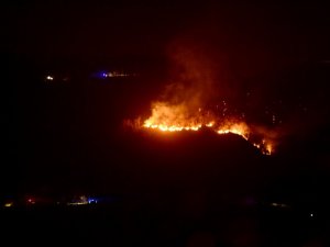 Giresun’da Orman Yangını