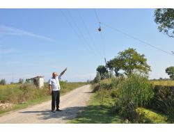 Elektrik Tellerinin Birbirine Çarpmasını Önlemek İçin İlginç Yöntem