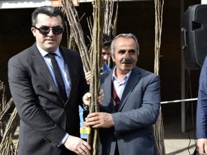 Gümüşhane’de Üreticilere 23 Bin Ceviz Fidanı Daha Dağıtıldı