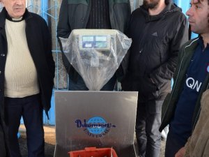 Mezgit’in Fiyatı Kalkan’ın Fiyatını Yakaladı
