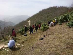 Giresun’da Tıbbi Ve Aromatik Bitkiler Uygulama Bahçesi Oluşturuldu
