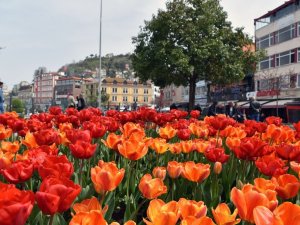 Giresun’da Lale Devri