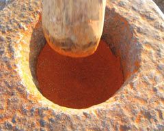 Baharattaki tehlikeye neşter