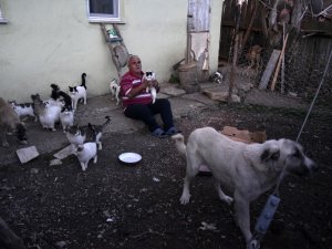Emekli Maaşıyla 25 Kedi, 15 Köpek Besliyor