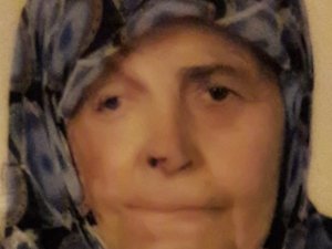 Kamyonetin Çarptığı Yaşlı Kadın Hayatını Kaybetti