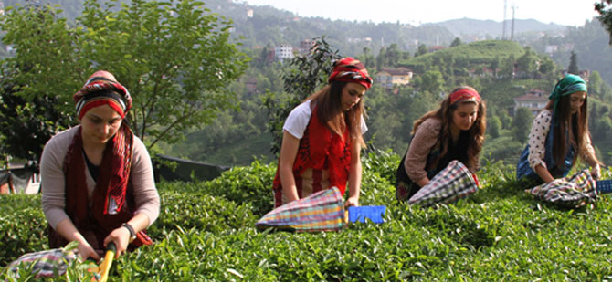 TBMM'de Bugünkü Gündem Çay!