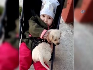 Minik Duru Ve Köpük’ün Güldüren Halleri