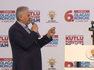 "Döviz Kurlarındaki Dalgalanma Geçici, Etkileri Sınırlı"